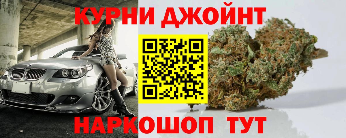 Конопля гибрид Салехард